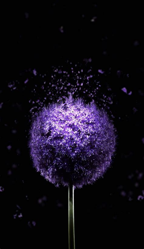 amoled wallpapers